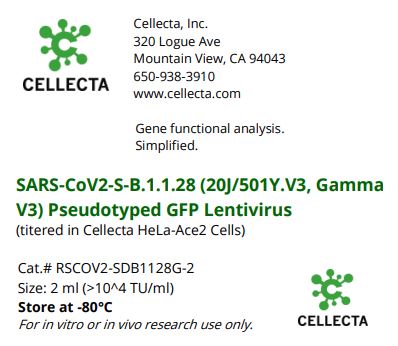 Cellecta SARS-CoV2-S-B-1.1.28 (20J/501Y.V3, Gamma V3) Pseudotyped GFP Lentivirus RSCOV2-SDB1128G-2