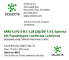 Cellecta SARS-CoV2-S-B.1.1.28 (20J/501Y.V3, Gamma V3) Pseudotyped Luciferase Lentivirus RSCOV2-SDB1128L-10