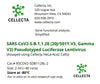 Cellecta SARS-CoV2-B.1.1.28 (20J/501Y.V3, Gamma V3) Pseudotyped Luciferase Lentivirus RSCOV2-SDB1128L-2