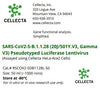 Cellecta SARS-CoV2-S-B.1.1.28 (20J/501Y.V3, Gamma V3) Pseudotyped Luciferase Lentivirus RSCOV2-SDB1128L-50