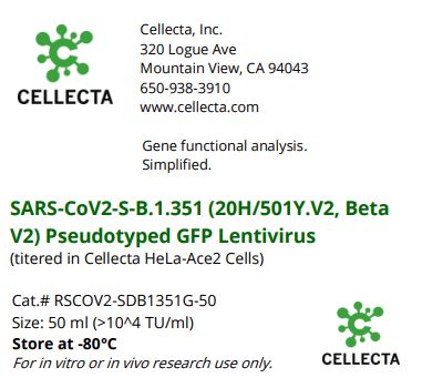 Cellecta SARS-CoV2-S-B.1.351 (20H/501Y.V2, Beta V2) Pseudotyped GFP Lentivirus RSCOV2-SDB1351G-50