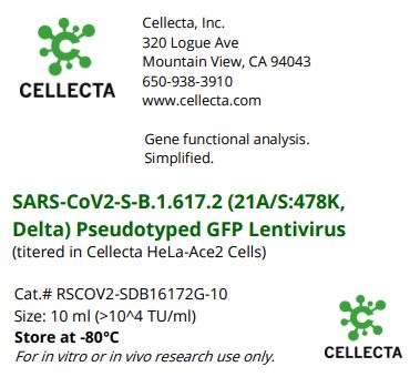 Cellecta SARS-CoV2-S-B-1.617.2 (21A/S:478K, Delta) Pseudotyped GFP Lentivirus RSCOV2-SDB16172G-10