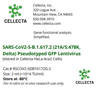 Cellecta SARS-CoV2-S-B.1.617.2 (21A/S:478L, Delta) Pseudotyped GFP Lentivirus RSCOV2-SDB16172G-2