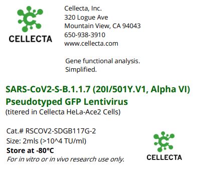 Cellecta SARS-CoV2-S-B.1.1.7 (20I/501Y,VY, Alpha VI) Pseudotyped GFP Lentivirus RSCOV2-SDGB117G-2