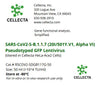 Cellecta SARS-CoV2-S-B.1.1.7 (20I, 501Y.V1, Alpha VI) Pseudotyped GFP Lentivirus RSCOV2-SDGB117G-50