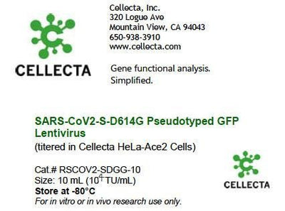 Cellecta SARS-CoV2-S-D614G Pseudotyped GFP Lentivirus RSCOV2-SDGG-10