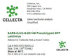 Cellecta SARS-CoV2-S-D614G Pseudotyped GFP Lentivirus RSCOV2-SDGG-2
