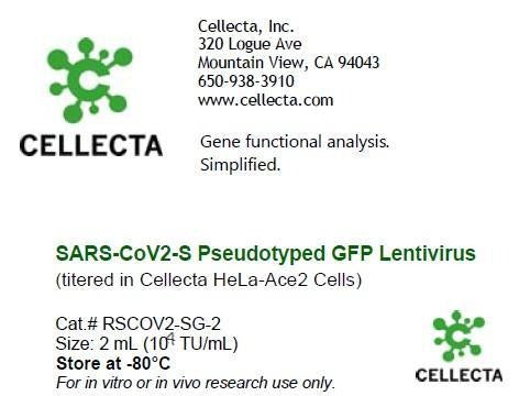 Cellecta SARS-CoV2 Pseudotyped GFP Lentivirus RSCOV2-SG-2