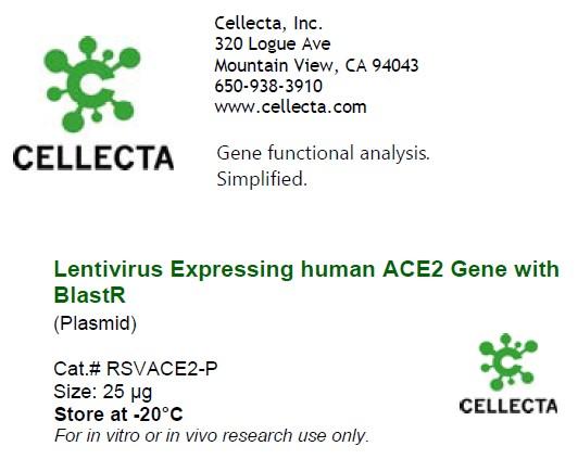 Cellecta Lentivirus Expressing Human ACE2 Gene with BlastR RSVACE2-P