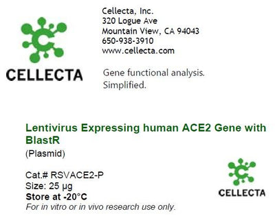 Cellecta Lentivirus Expressing Human ACE2 Gene with BlastR RSVACE2-P