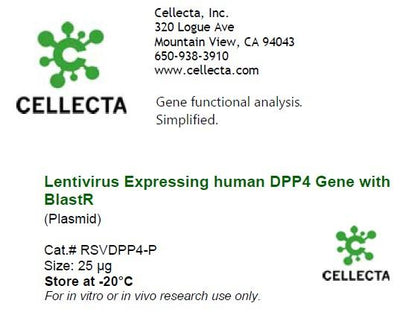 Cellecta Lentivirus Expressing human DPP4 Gene with BlastR (Plasmid) RSVDPP4-P