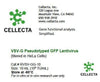 Cellecta VSV-G Pseudotyped GFP Lentivirus RVSV-GG-10