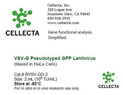 Cellecta VSV-G Pseudotyped GFP Lentivirus RVSV-GG-2