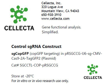 Cellecta Control sgRNA Construct SGCCTL-COP-pRSGCCG