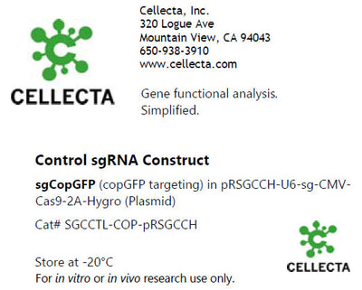 Cellecta Control sgRNA Construct SGCCTL-COP-pRSGCCH
