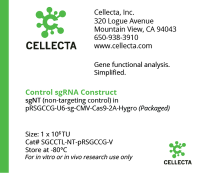 Cellecta Control sgRNA Construct SGCCTL-NT-pRSGCCG-V