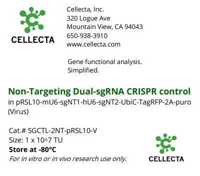Non-Targeting Dual -sgRNA CRISPR Control SGCTL-2NT-pRSL10-V