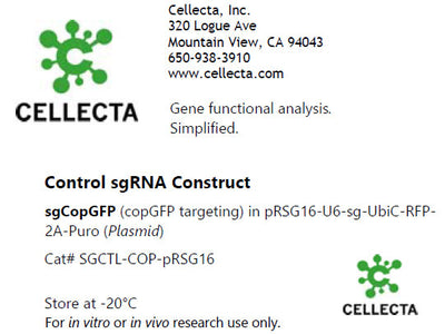 Cellecta Control sgRNA Construct SGCTL-COP-pRSG16