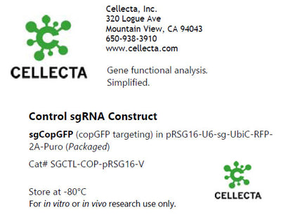 Cellecta Control sgRNA Construct SGCTL-COP-pRSG16-V