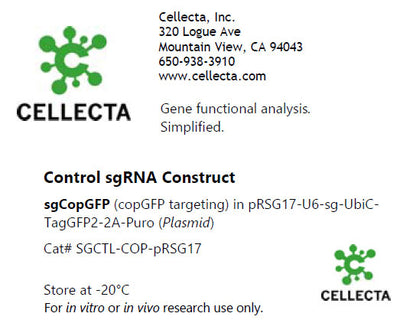 Cellecta Control sgRNA Construct SGCTL-COP-pRSG17