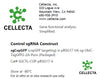 Cellecta Control sgRNA Construct SGCTL-COP-pRSG17-V