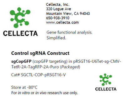 Cellecta Control sgRNA Construct SGCTL-COP-pRSGT16-V