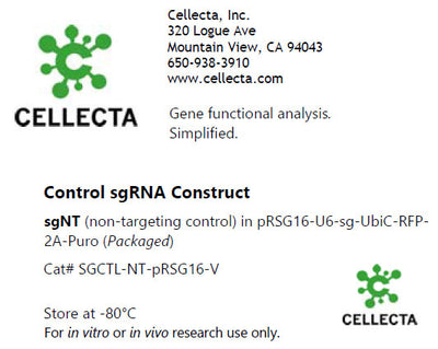 Cellecta Control sgRNA Construct SGCTL-NT-pRSG16-V