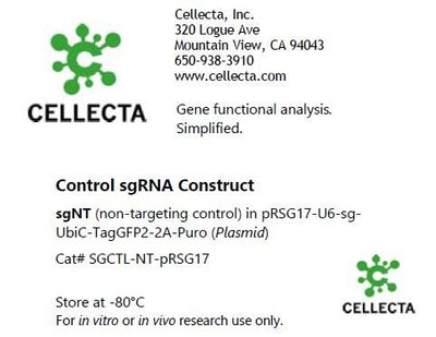 Cellecta Control sgRNA Construct SGCTL-NT-pRSG17