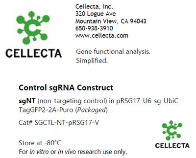 Cellecta Control sgRNA Construct SGCTL-NT-pRSG17-V