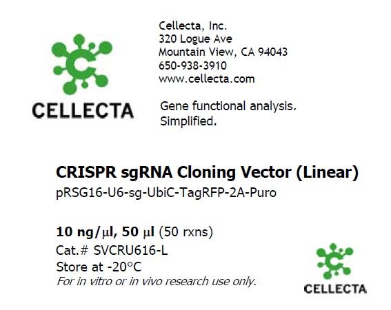 Cellecta CRISPR sgRNA Cloning Vector (Linear) SVCRU616-L