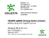 Cellecta CRISPR sgRNA Cloning Vector (Linear) SVCRU621-L