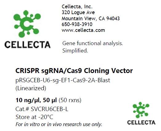 CRISPR sgRNA Vector with U6 Promoter and Cas9 (linearized, ready-for ...