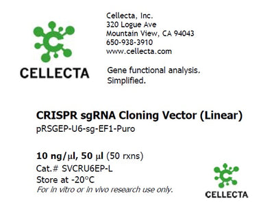 Cellecta CRISPR sgRNA Cloning Vector (Linear) SVCRU6EP-L