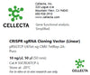 Cellecta CRISPR sgRNA Cloning Vector (Linear) SVCRU6TCP-L