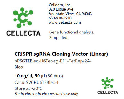 Cellecta CRISPR sgRNA Cloning Vector (Linear) SVCRU6TEBleo-L