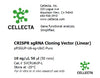 Cellecta CRISPR sgRNA Cloning Vector (Linear) SVCRU6UP-L