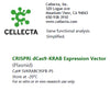 Cellecta CRISPRi dCas9-KRAB Expression Vector (Plasmid) SVKRABC9SFB-PS