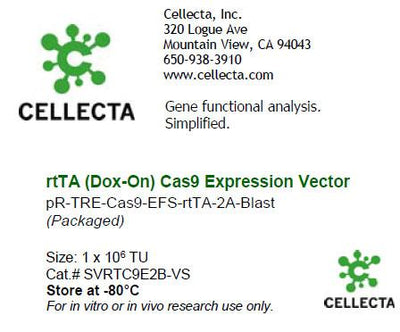 Cellecta rtTA (Dox-On) Cas9 Expression Vector SVRTC9E2B-VS