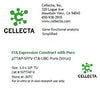 Cellecta tTA Expression Construct with Puro SVTTAP-V