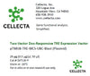 Cellecta Two-Vector Dox-Responsive TRE Expression Vector SVTUB-P