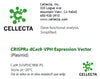Cellecta CRISPRa dCas9-VPH Expression Vector (Plasmid) SVVPHC9RB-PS