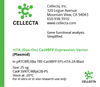 Cellecta rtTA (Dox-On) Cas9BFP Expression Vector SVRTC9BfpeE2B-PS