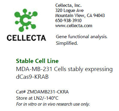 Cellecta Stable Cell Line ZMDAMB231-CKRA