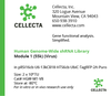 Cellecta Human Genome-Wide shRNA Library Module 1 (55K) (Virus) HGW-M1-V8
