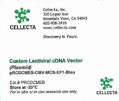 Cellecta Custom Lentiviral cDNA Vector (Plasmid) PRCDCMEB