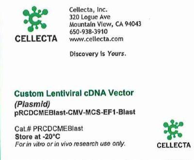 Cellecta Custom Lentiviral cDNA Vector (Plasmid) PRCDCMEBlast
