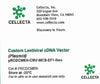 Cellecta Custom Lentiviral cDNA Vector (Plasmid) PRCDCMEN