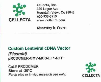 Cellecta Custom Lentiviral cDNA Vector (Plasmid) PRCDCMER