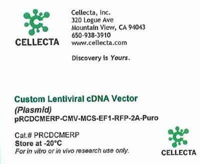 Cellecta Custom Lentiviral cDNA Vector (Plasmid) PRCDCMERP