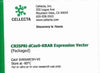 Cellecta CRISPRi dCas9-KRAB Expression Vector (Packaged) CVKRABC9H-VS